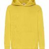 Classic Hooded Sweat Kids