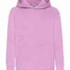 Classic Hooded Sweat Kids