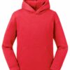 Authentic Hooded Sweat Kids