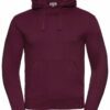 Men's Authentic Hooded Sweat