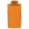 Gilet Uomo in Micropile