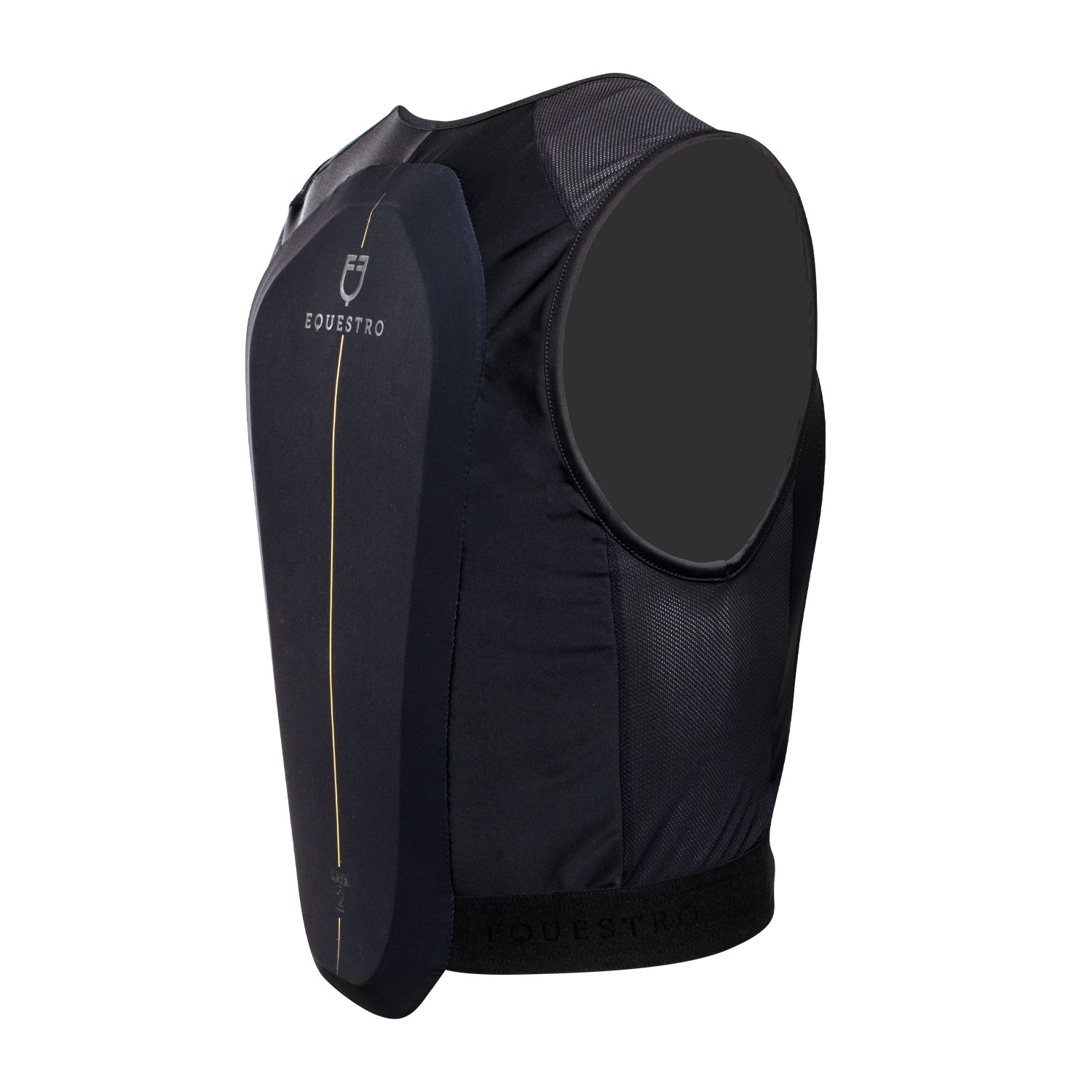 Adult Unisex Padded Back Protector 2.0