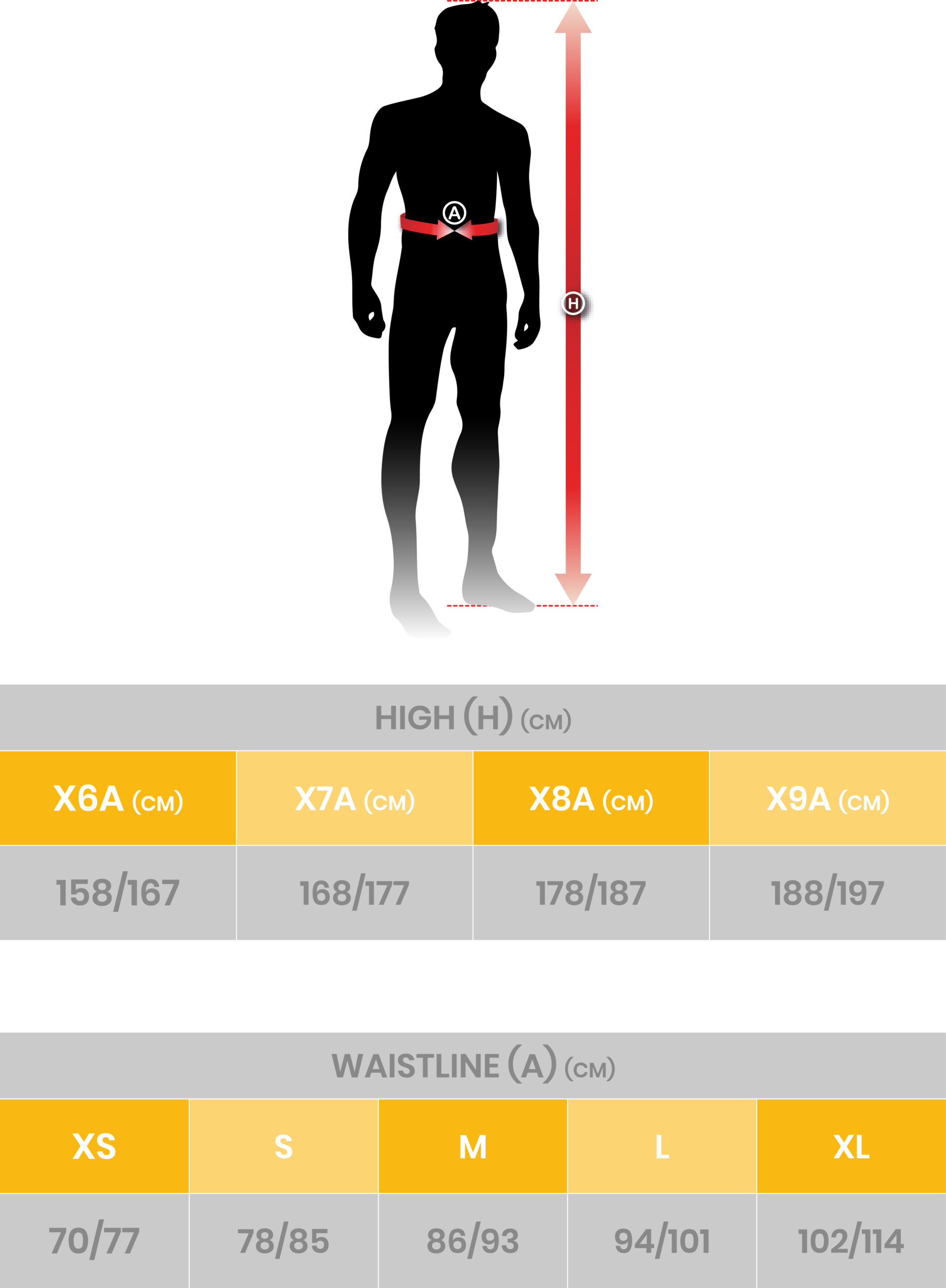 Adult Unisex Padded Back Protector 2.0